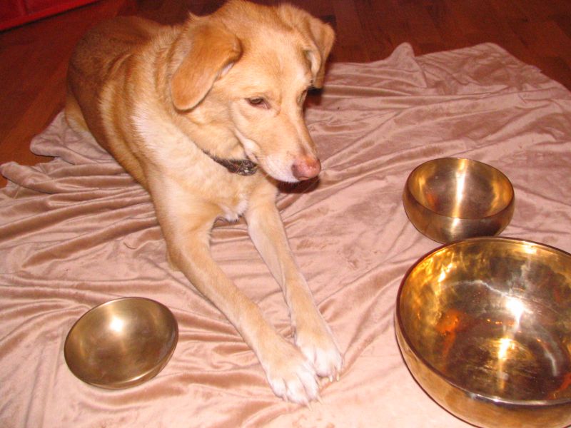 Cookie bei der Klangschalenmassage